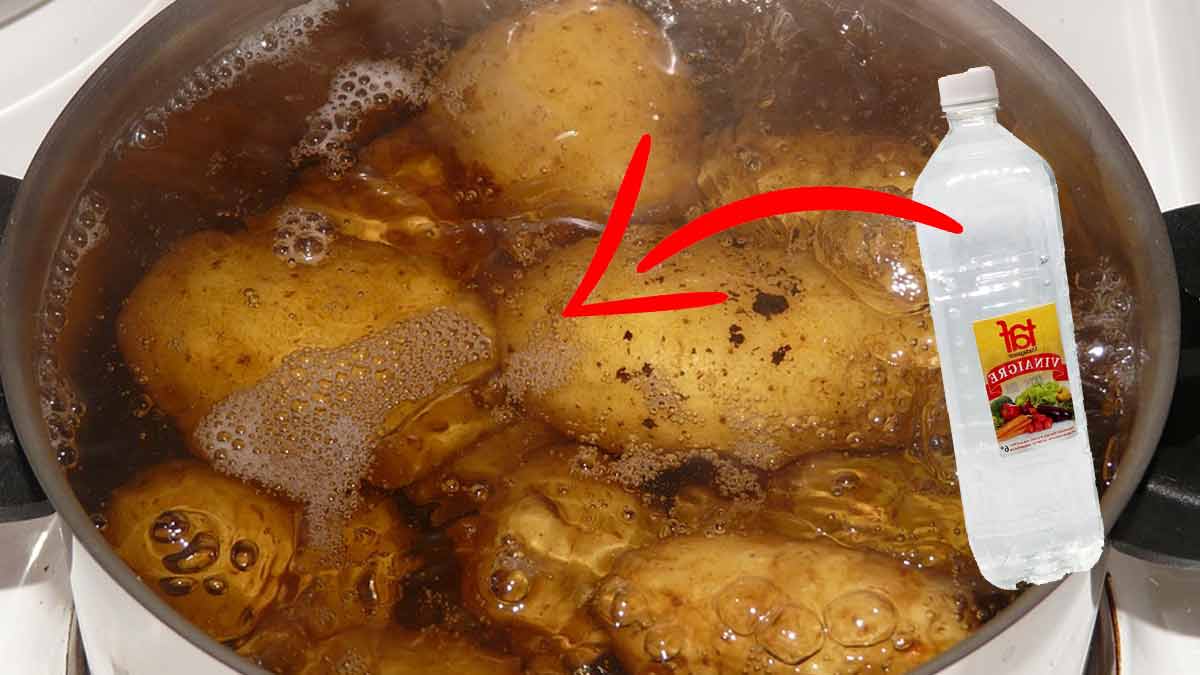 Voici pourquoi il est important de verser du vinaigre dans l’eau des pommes de terre 